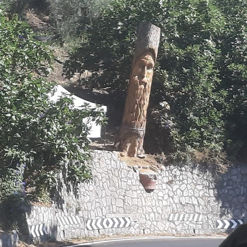 Costa d’Amalfi, il tronco del pino spezzato diventa una scultura [FOTO]