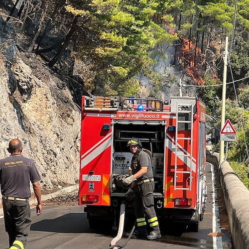 Vigili del fuoco<br />&copy; Massimiliano D'Uva