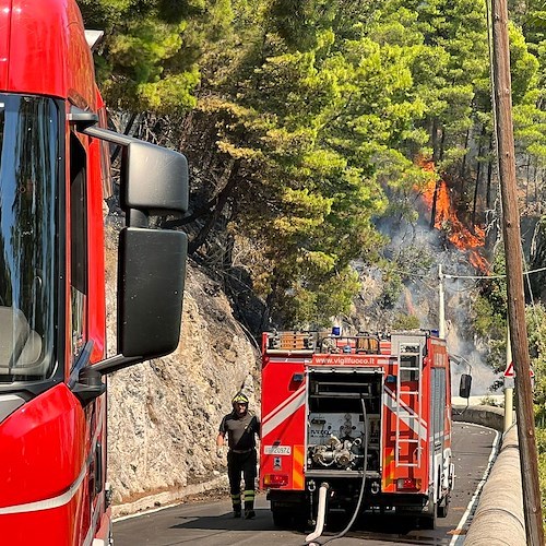 Vigili del Fuoco<br />&copy; Massimiliano D'Uva