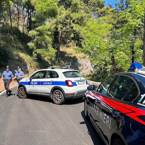 carabinieri e Polizia Municipale<br />&copy; Massimiliano D'Uva