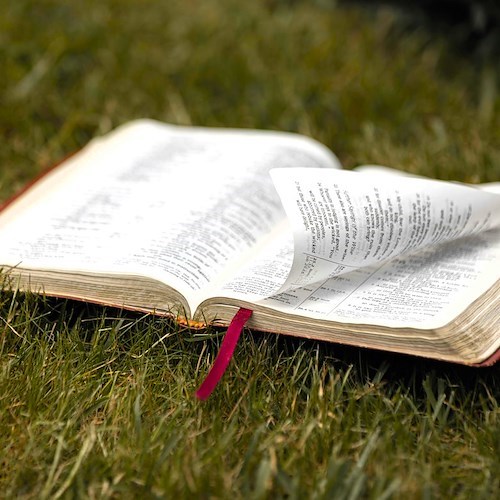 Capitale italiana del Libro 2025<br />&copy; Foto da Pexels