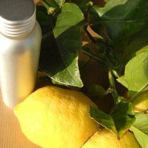 Da scarti limone Costa Amalfi una linea cosmetica. Progetto 'Filicos' presentato a Maiori