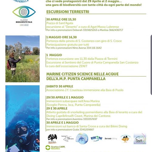 Dal 29 aprile al 1° maggio torna il City Nature Challenge nell'Area Marina Protetta di Punta Campanella