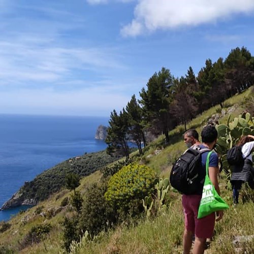 Dal 29 aprile al 1° maggio torna il City Nature Challenge nell'Area Marina Protetta di Punta Campanella