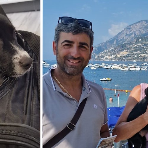 Dal Canada Nancy adotta un cagnolino grazie all'ENPA Costa d'Amalfi 