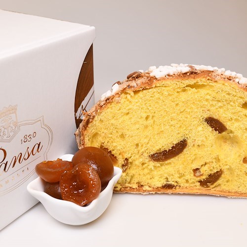 «Dalla nostra rete alle vostre case». I panettoni artigianali di Pansa a domicilio con un semplice click 