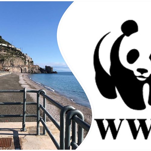 Depuratore Maiori, per WWF necessaria analisi preventiva comparata