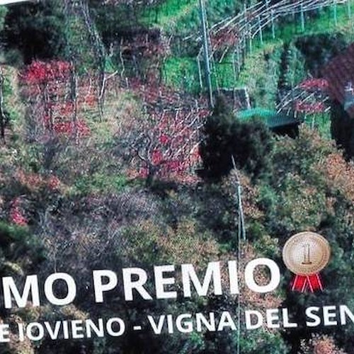 È di Agerola il “Paesaggio di...vino 2019”. Al Vinitaly premiato lo scatto di Iovieno