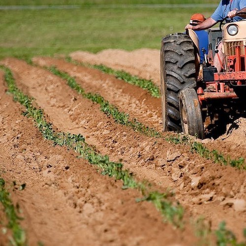 Falsifica domanda per ottenere contributo europeo, sequestro di oltre 160mila euro per imprenditore agricolo salernitano