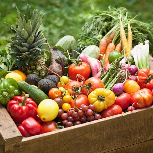 Ferragosto in agriturismo: secondo la Coldiretti in aumento gli italiani che preferiscono la campagna