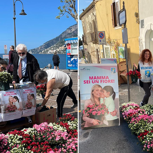 Festa della Mamma, in Costa d'Amalfi volontari AIRC distribuiscono l’Azalea della Ricerca / ECCO DOVE 
