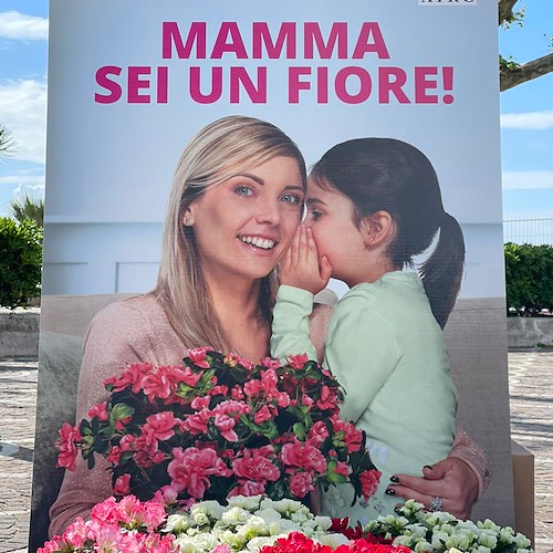 Festa della Mamma, in Costa d'Amalfi volontari AIRC distribuiscono l’Azalea della Ricerca / ECCO DOVE 