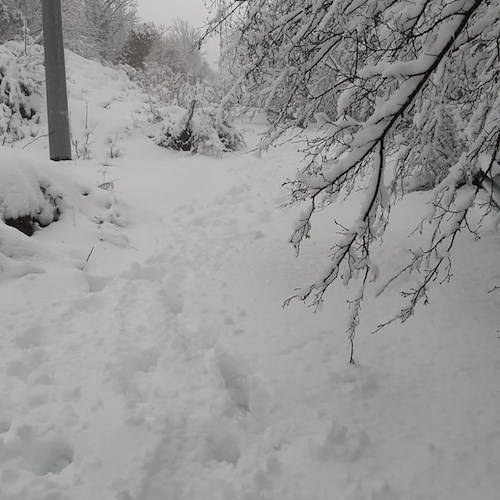 Fulmine colpisce ripetitore su Monte Sant’Angelo: disservizi telefonici a Tramonti
