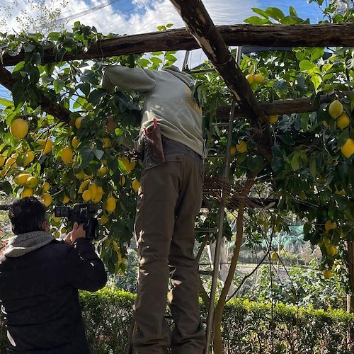 GAL Terra Protetta, apertura nuovi bandi per associazioni di imprese e gruppi di cooperazione della Costa d’Amalfi