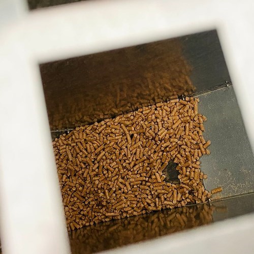 Gas alle stelle: italiani passano alla biomassa, ma il prezzo del pellet raddoppia