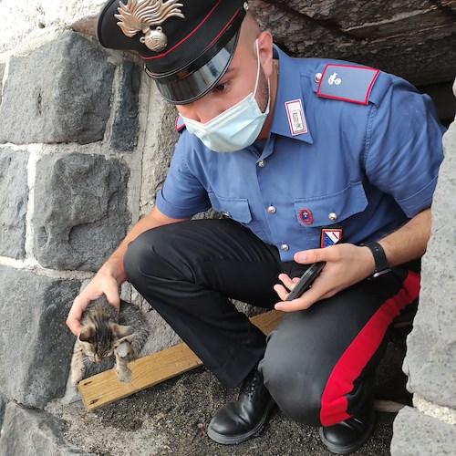 Gattino intrappolato a Maiori, lo salvano i Carabinieri