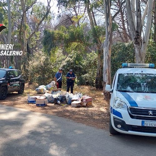 Gettavano i rifiuti nella pineta di Campolongo<br />&copy; Carabinieri Salerno