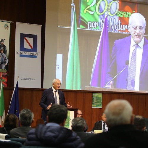 Giornata delle foreste, Caputo: «I boschi devono diventare settore trainante dell'economia campana»
