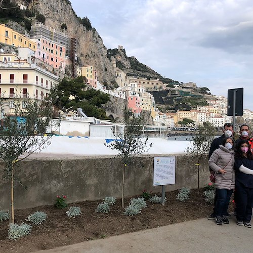 Giornata memoria vittime Covid: ad Amalfi piantati 4 ulivi per cittadini stroncati da virus [FOTO]