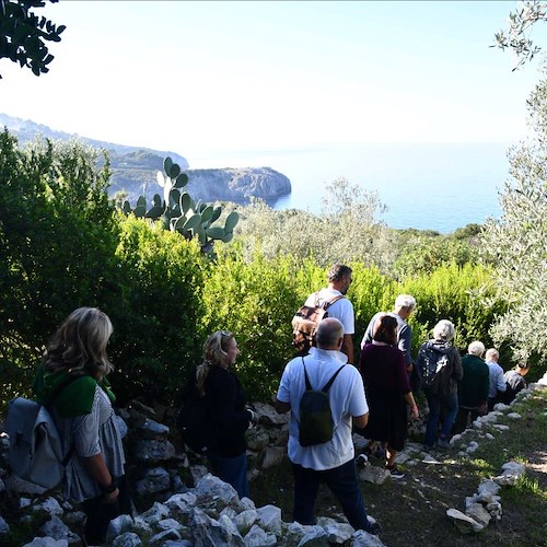 Grande partecipazione alla sesta edizione della "Camminata tra gli olivi ad Anacapri"