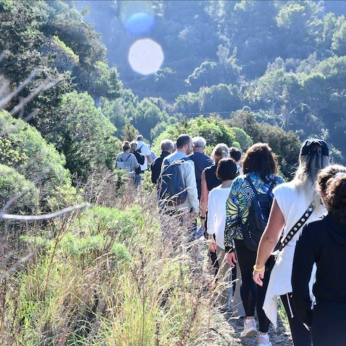 Grande partecipazione alla sesta edizione della "Camminata tra gli olivi ad Anacapri"