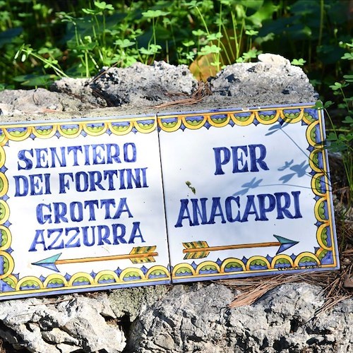 Grande partecipazione alla sesta edizione della "Camminata tra gli olivi ad Anacapri"