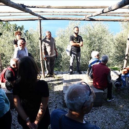 Grande partecipazione alla sesta edizione della "Camminata tra gli olivi ad Anacapri"