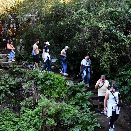 Grande partecipazione alla sesta edizione della "Camminata tra gli olivi ad Anacapri"