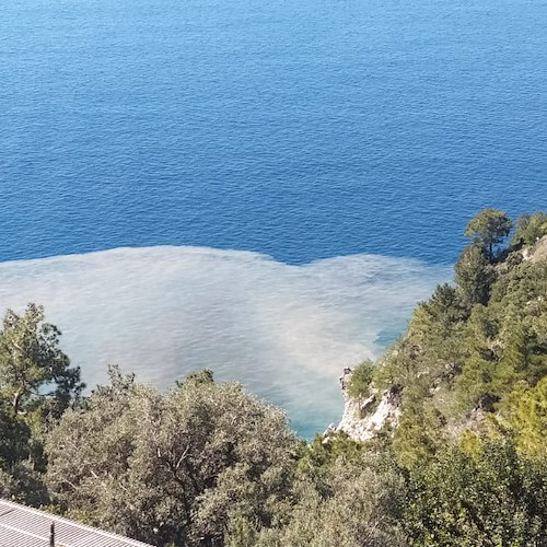 Grossa chiazza marrone nel mare della Costa d'Amalfi. Intervento della Capitaneria di porto [FOTO-VIDEO]