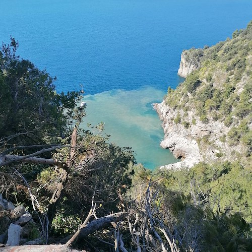 Grossa chiazza marrone nel mare della Costa d'Amalfi. Intervento della Capitaneria di porto [FOTO-VIDEO]