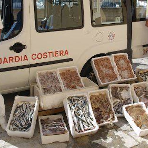 Guardia Costiera sequestra 30 kg di pescato in tre ristoranti a Conca dei Marini