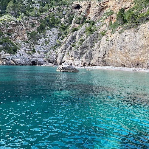 I giovani del Forum Mondiale del Turismo a Punta Campanella per attività di sea-watching