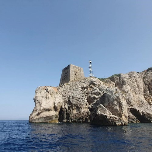 I giovani del Forum Mondiale del Turismo a Punta Campanella per attività di sea-watching