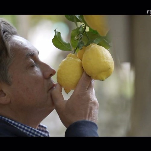 I limoni di Costieragrumi diventano l’ingrediente di una sfida a “Pizza Doc” su RaiDue [FOTO e VIDEO]