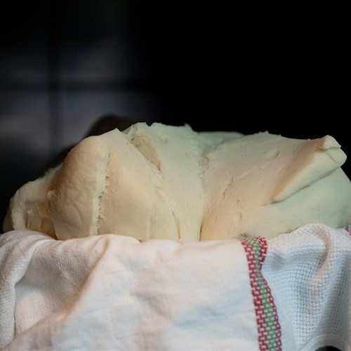 I panettoni artigianali di Pansa "a casa tua": a Natale tutto il gusto e il profumo della Costa d’Amalfi con un click