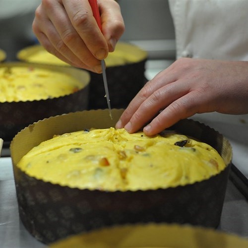 I panettoni artigianali di Pansa "a casa tua": a Natale tutto il gusto e il profumo della Costa d’Amalfi con un click