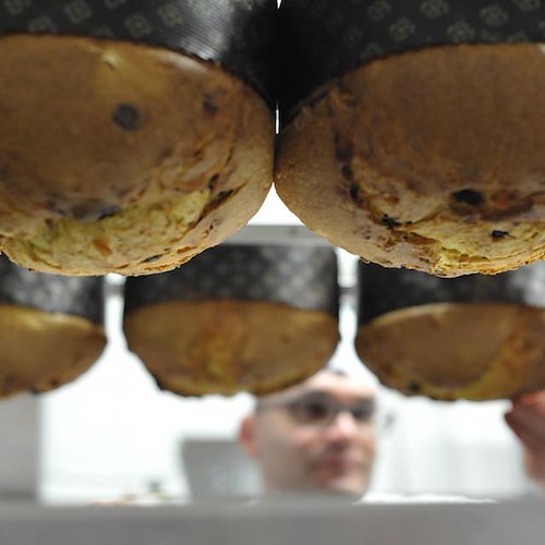 I panettoni artigianali di Pansa "a casa tua": a Natale tutto il gusto e il profumo della Costa d’Amalfi con un click