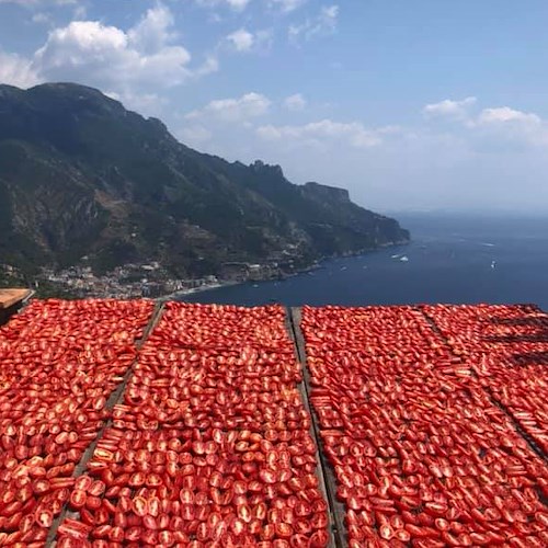 I pomodori essiccati al sole, una tradizione sempre viva in Costa d'Amalfi
