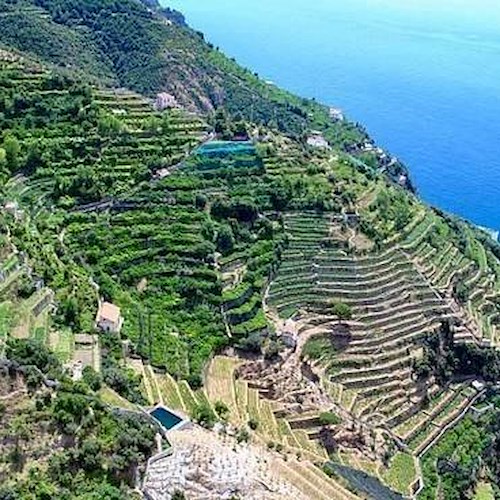  I terrazzamenti della Costa d’Amalfi come paesaggio culturale UNESCO. Intervista a Marina Fumo, direttrice Cittam