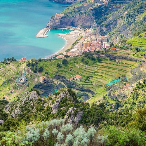  I terrazzamenti della Costa d’Amalfi come paesaggio culturale UNESCO. Intervista a Marina Fumo, direttrice Cittam