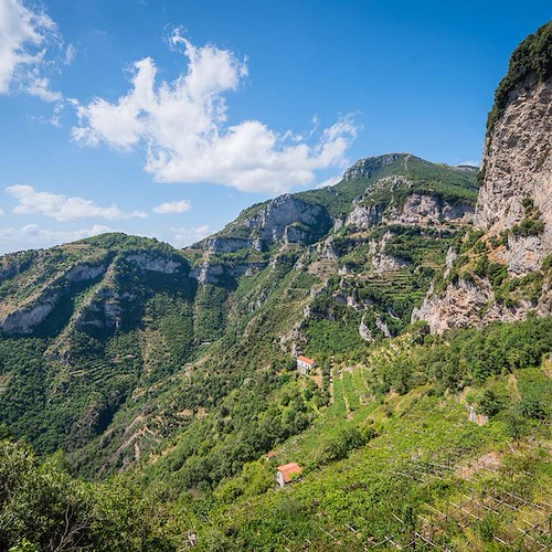  I terrazzamenti della Costa d’Amalfi come paesaggio culturale UNESCO. Intervista a Marina Fumo, direttrice Cittam