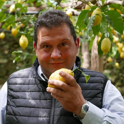 Il Consorzio Limone IGP a “La Notte del panettone in riva al mare” a Minori