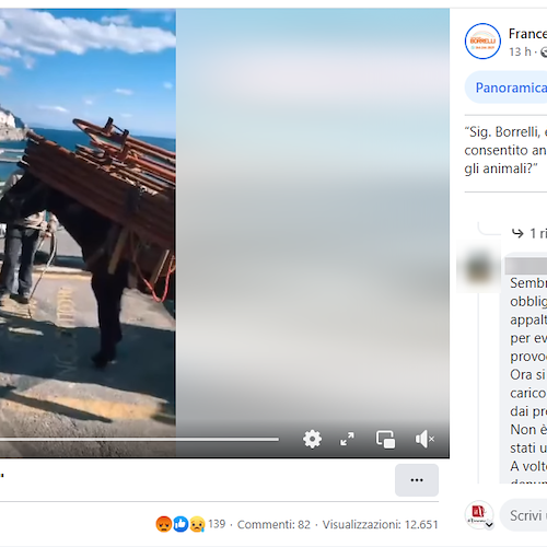 Il deputato dei "Verdi" Francesco Emilio Borrelli contro l'uso dei muli in Costa d'Amalfi