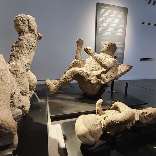 Il DNA degli abitanti dell'Antica Pompei: verso la mappatura completa della popolazione