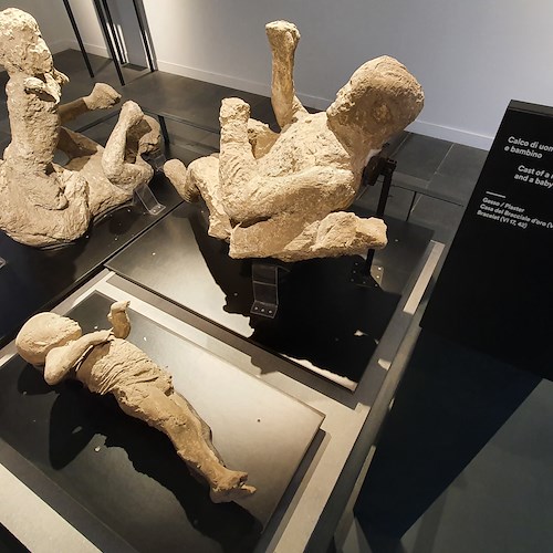 Il DNA degli abitanti dell'Antica Pompei: verso la mappatura completa della popolazione