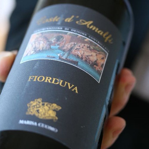 Il Fiorduva di Marisa Cuomo tra i 50 migliori vini d’Italia 2019