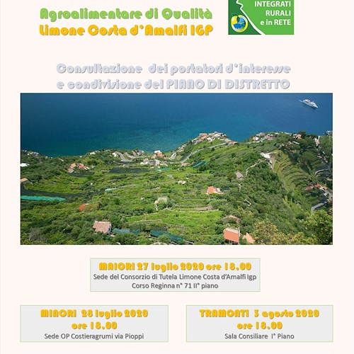 Il Limone Costa d’Amalfi IGP verso la costituzione della Società di Distretto