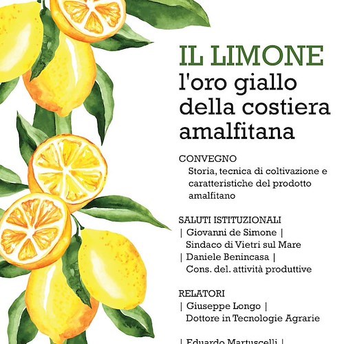 «Il limone, l'oro giallo della costiera amalfitana»: stasera il convegno a Vietri sul Mare