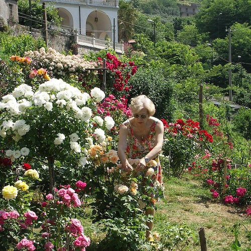 “Il Piacere Delle Spine”, a Tramonti il Giardino Segreto dell'Anima apre le porte del suo roseto dal 21 al 28 febbraio