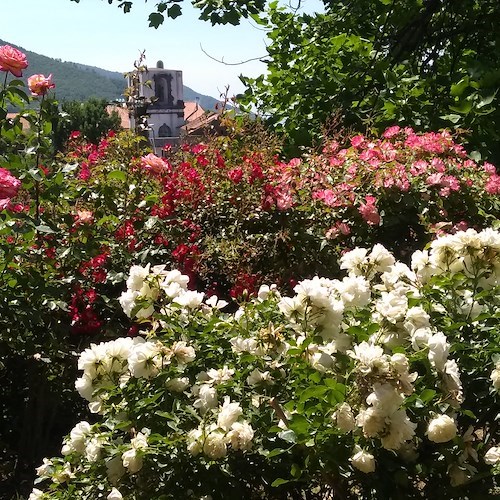 “Il Piacere Delle Spine”, a Tramonti il Giardino Segreto dell'Anima apre le porte del suo roseto dal 21 al 28 febbraio